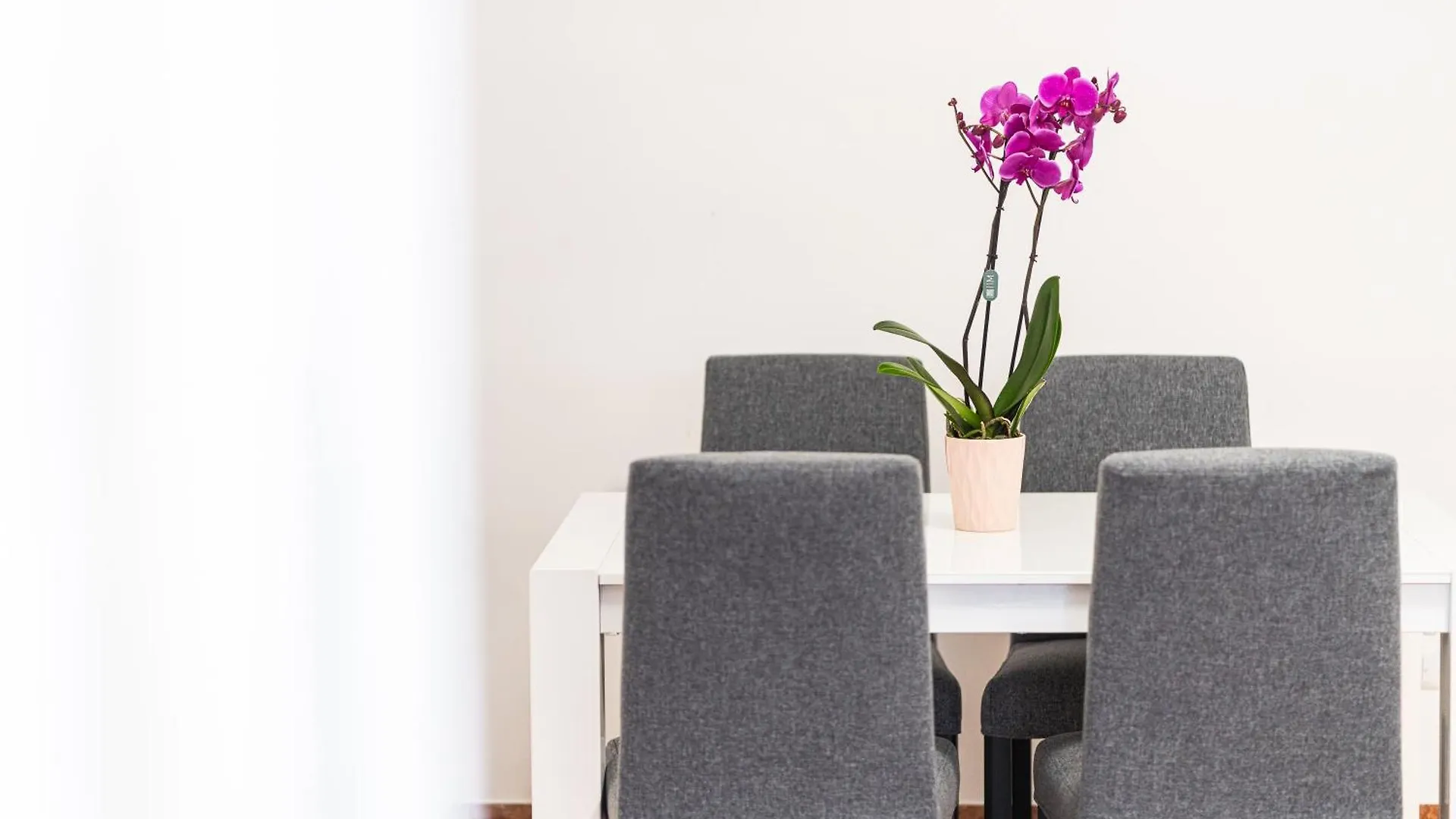 Domus Leo Roma Apartment  Rome